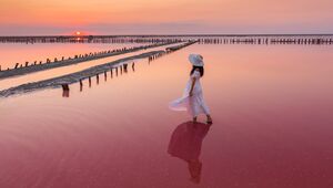 Рожеве Лемурійське озеро
