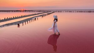 Pink Lemuria Lake